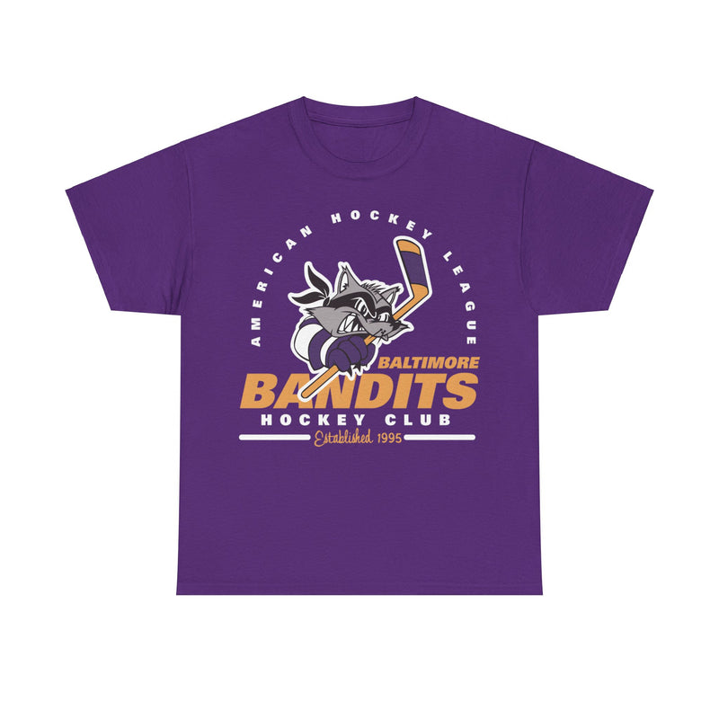 Load image into Gallery viewer, Baltimore Bandits Est 1995 Maryland Hockey Club T-shirt