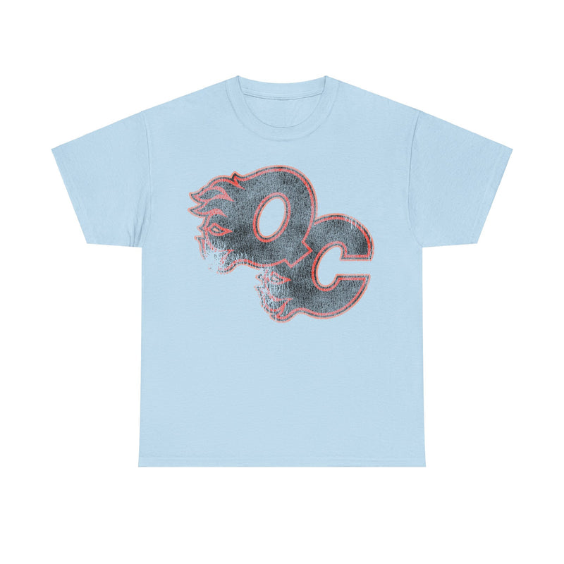 Load image into Gallery viewer, Quad City Flames Illinois Hockey Team T-shirt