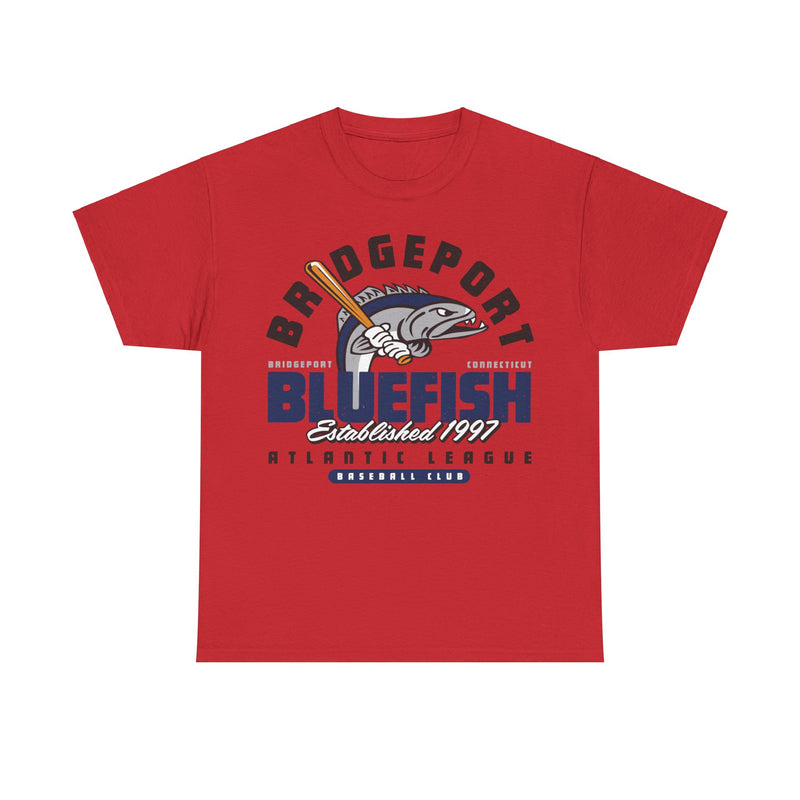 Load image into Gallery viewer, Bridgeport Bluefish Est 1997 Connecticut Baseball T-shirt