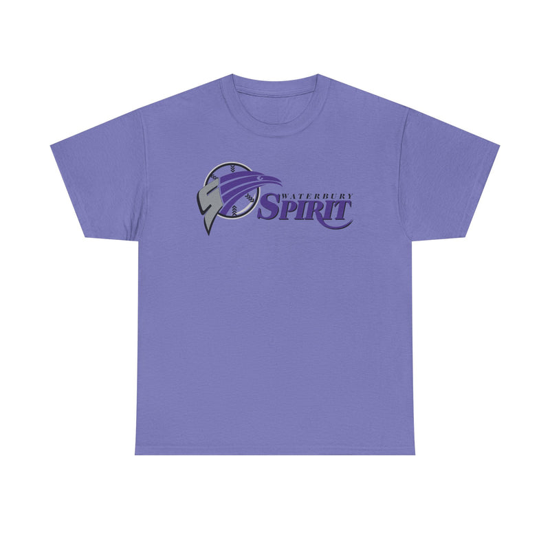 Load image into Gallery viewer, Waterbury Connecticut Spirit Baseball 1997-2000 T-shirt