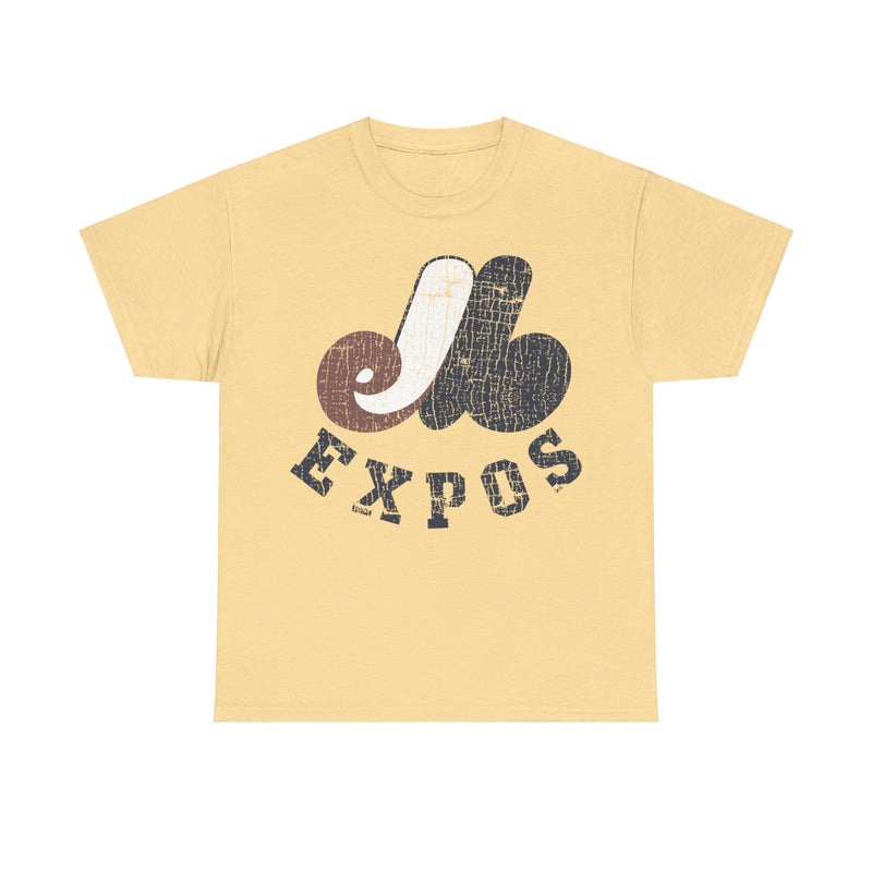 Load image into Gallery viewer, Montreal Expos Distressed Logo Baseball T-shirt