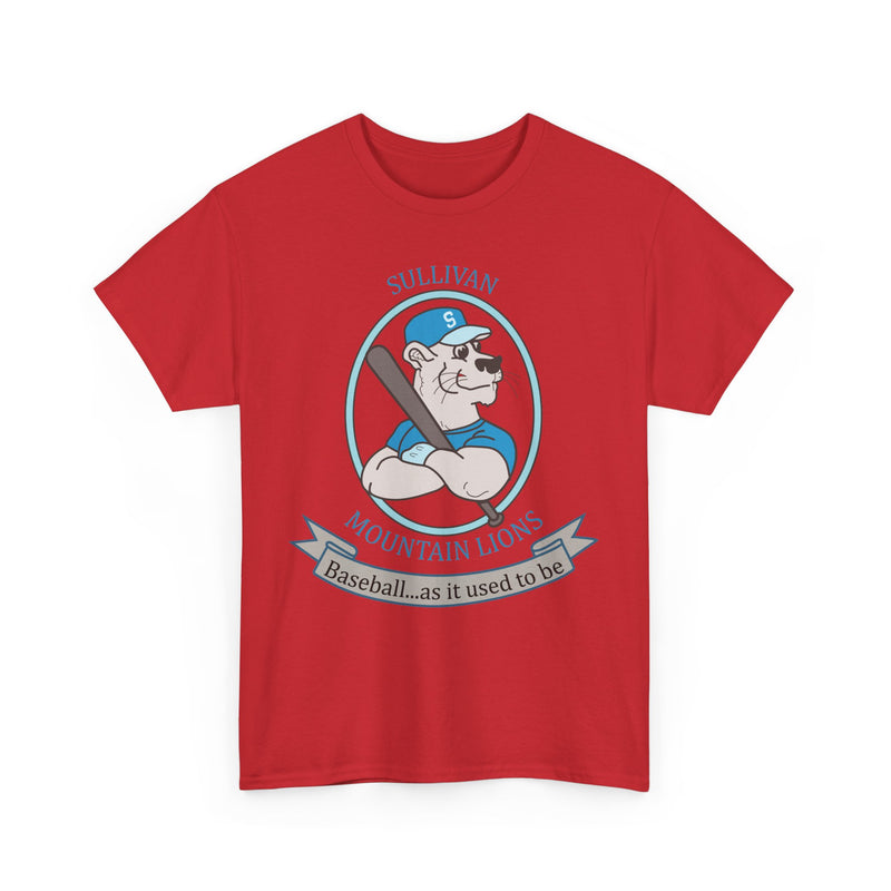 Load image into Gallery viewer, Sullivan County Mountain Lions Baseball 1995 New York T-shirt