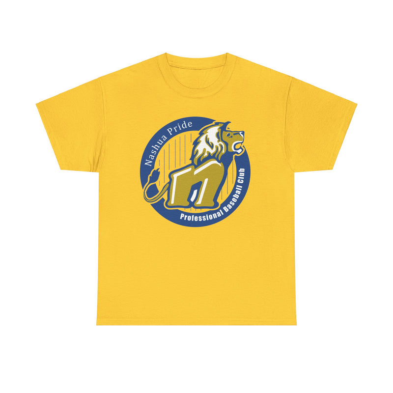 Load image into Gallery viewer, Nashua Pride New Hampshire Baseball 1998-2008 T-shirt