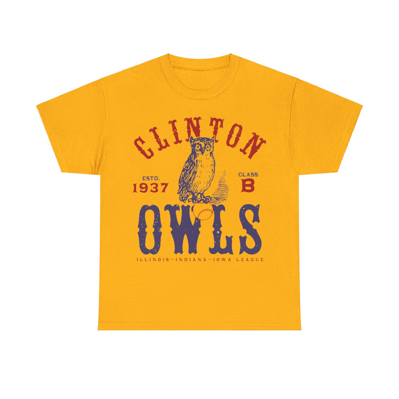 Load image into Gallery viewer, Clinton Owls Est 1937 Iowa Baseball T-shirt