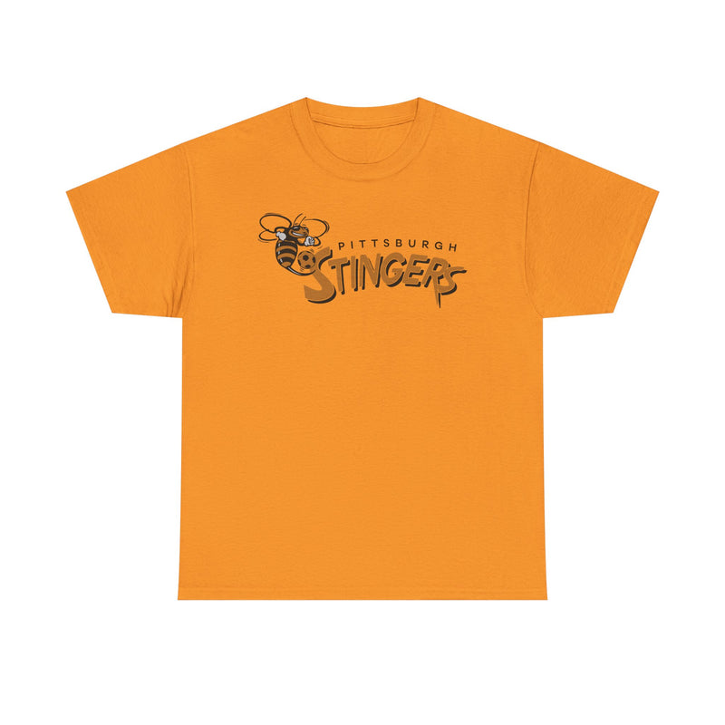 Load image into Gallery viewer, Pittsburgh Stingers Pennsylvania Soccer 1994-1995 T-shirt