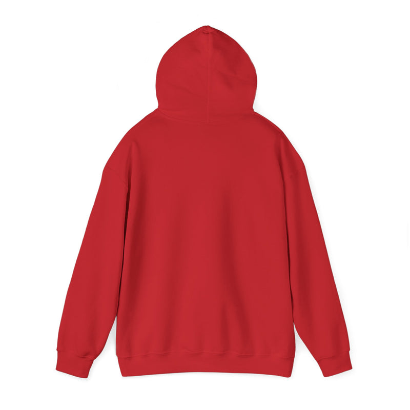 Load image into Gallery viewer, Iowa Energy NBA D-League Commemorative Pullover Hoody 2007-2017