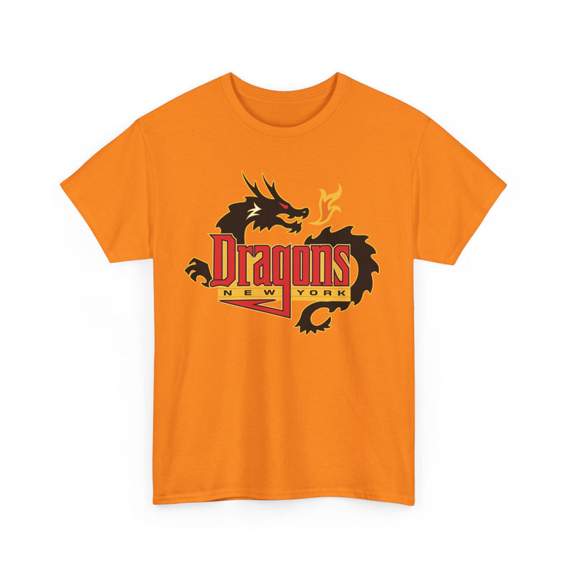 Load image into Gallery viewer, New York Dragons Arena Football League 2001-2008 T-shirt
