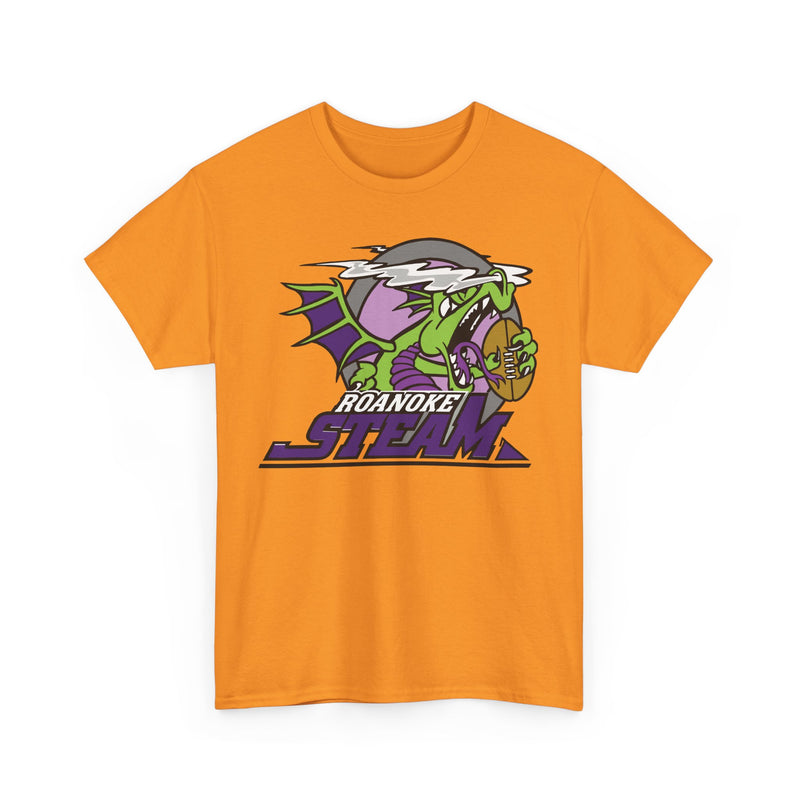 Load image into Gallery viewer, Roanoke Steam Virginia Arena Football 2000-2002 T-shirt