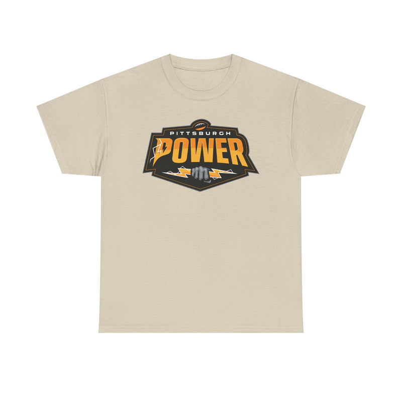 Load image into Gallery viewer, Pittsburgh Power Pennsylvania Arena Football 2011-2014 T-shirt