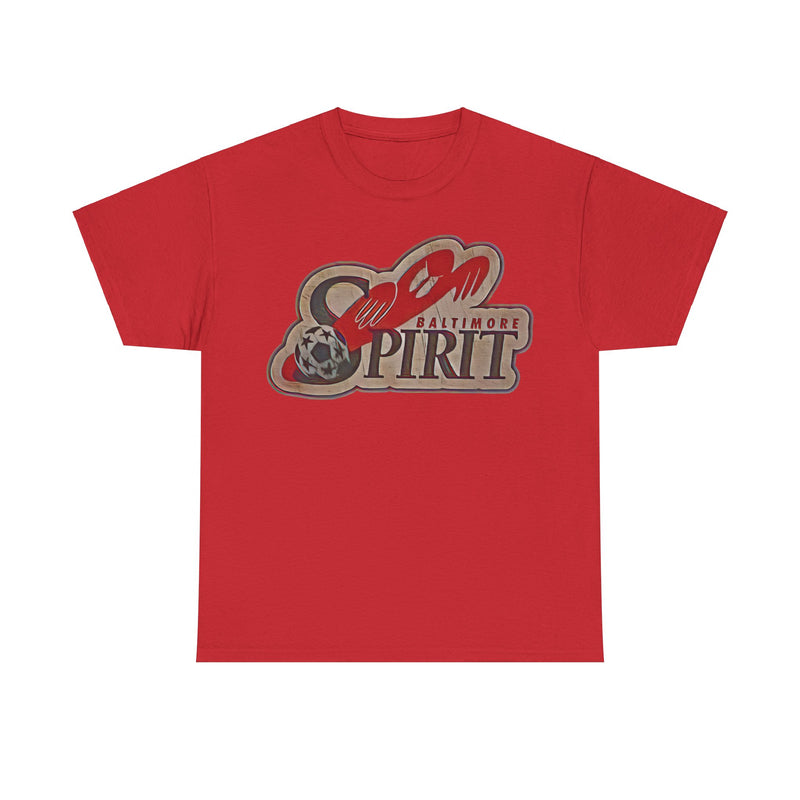 Load image into Gallery viewer, Baltimore Spirit Maryland Soccer Team T-shirt