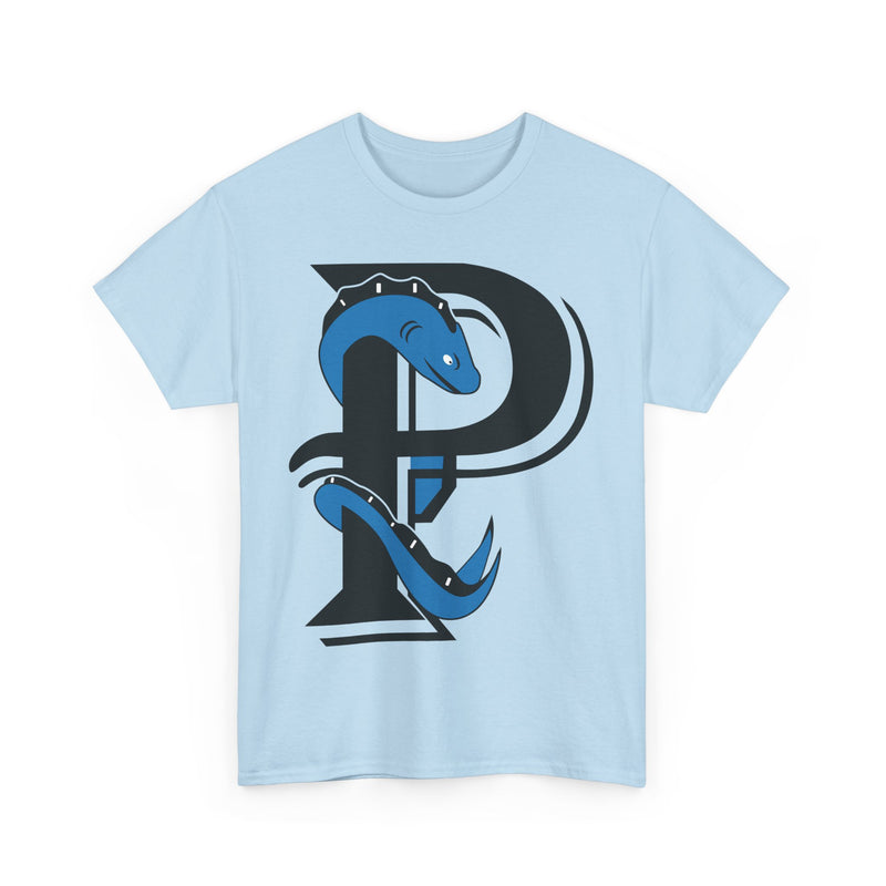 Load image into Gallery viewer, Plymouth River Eels Massachusetts Baseball T-shirt