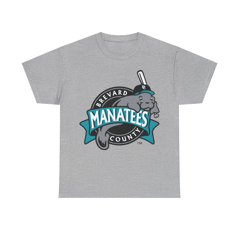 Load image into Gallery viewer, Brevard County Manatees Nostalgic Baseball T-shirt