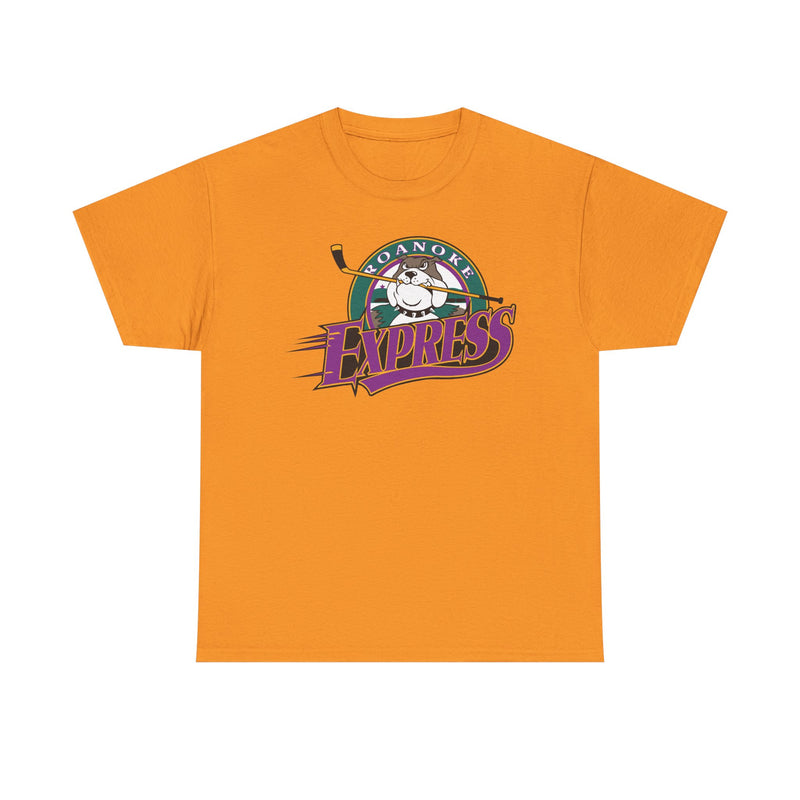 Load image into Gallery viewer, Roanoke Express Virginia Hockey 1993-2004 T-shirt