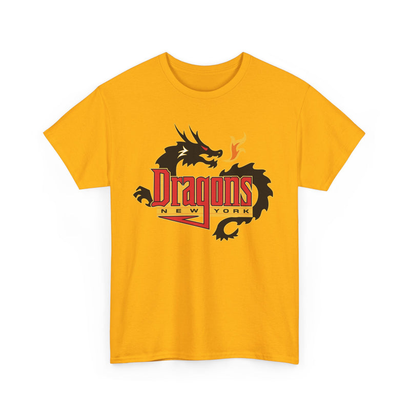 Load image into Gallery viewer, New York Dragons Arena Football League 2001-2008 T-shirt