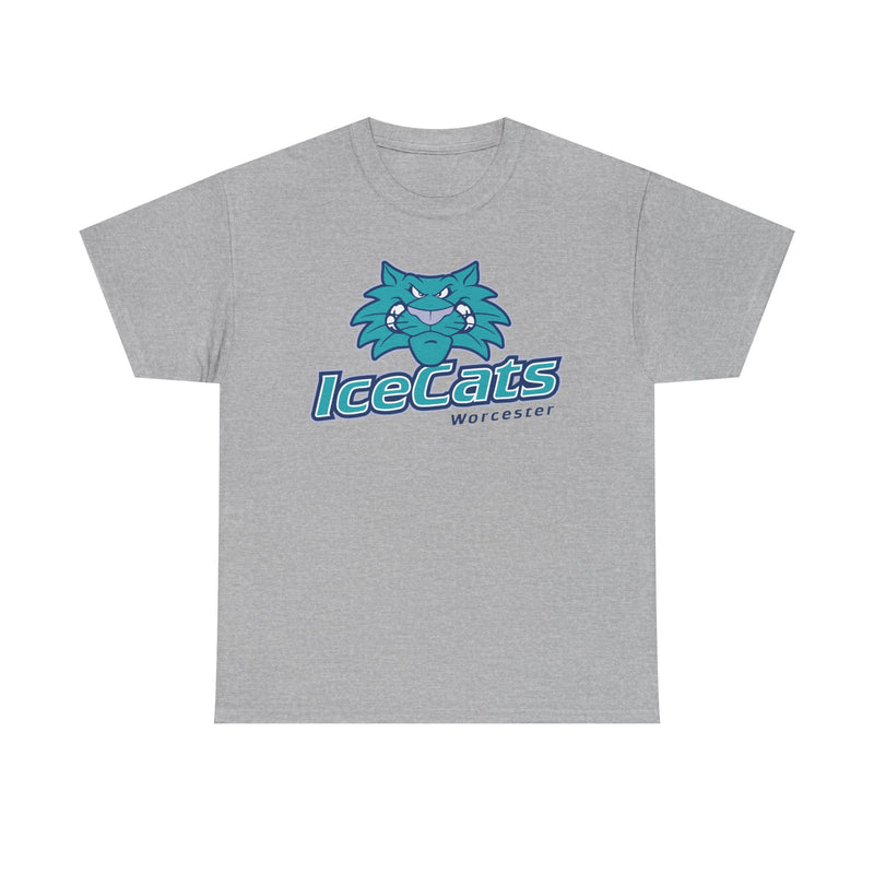 Load image into Gallery viewer, Worcester IceCats Hockey 1994-2005 Massachusetts T-shirt