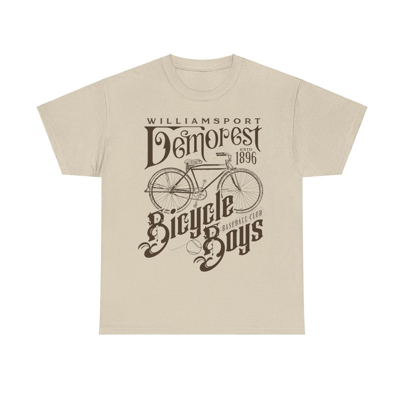 Load image into Gallery viewer, Williamsport Demorest Bicycle Boys Pennsylvania Baseball T-shirt