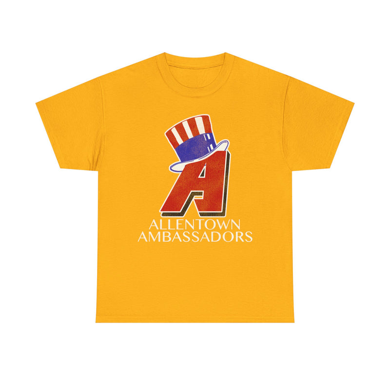 Load image into Gallery viewer, Allentown Ambassadors Nostalgic Retro Baseball Team T-shirt