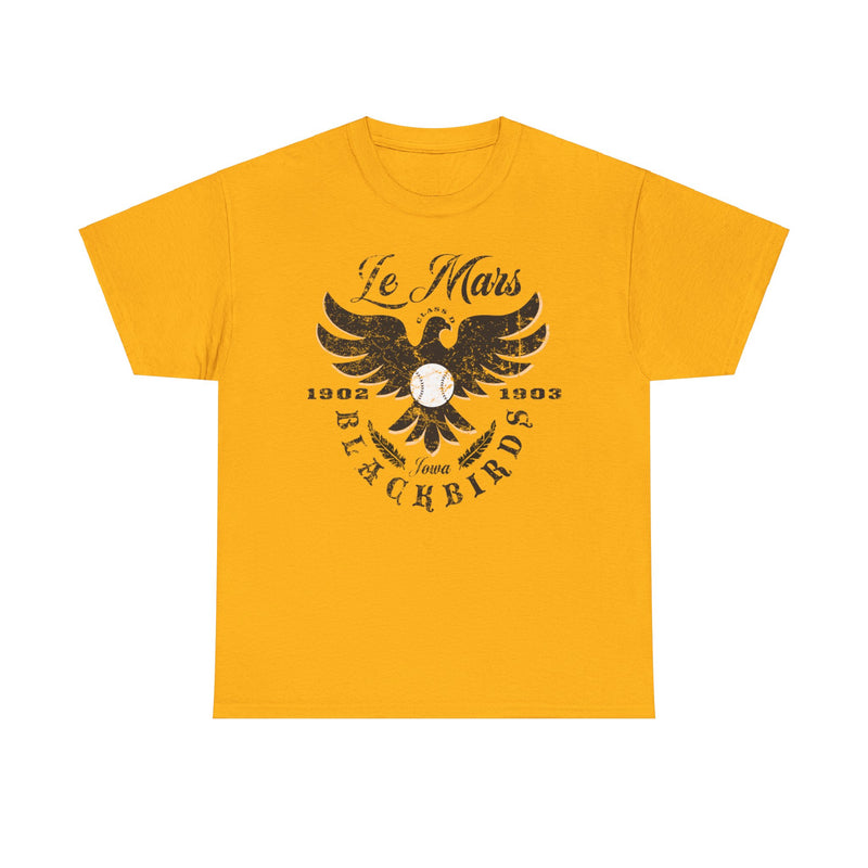 Load image into Gallery viewer, Le Mars Blackbirds Est 1902 Iowa Baseball T-shirt