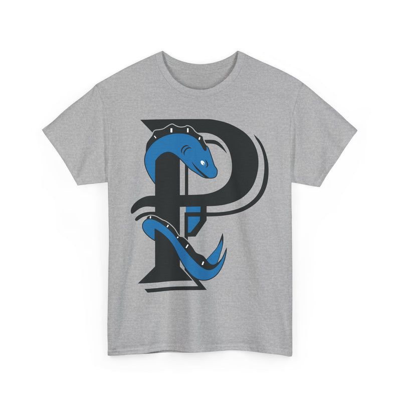 Load image into Gallery viewer, Plymouth River Eels Massachusetts Baseball T-shirt