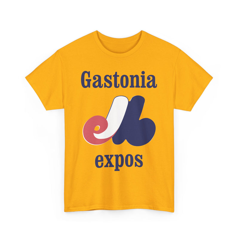 Load image into Gallery viewer, Gastonia Expos North Carolina Baseball 1983-1984 T-shirt