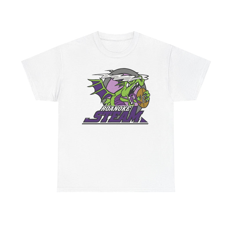 Load image into Gallery viewer, Roanoke Steam Virginia Arena Football 2000-2002 T-shirt