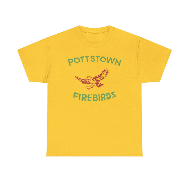 Load image into Gallery viewer, Pottstown Firebirds Pennsylvania 1968-1970 Football T-shirt