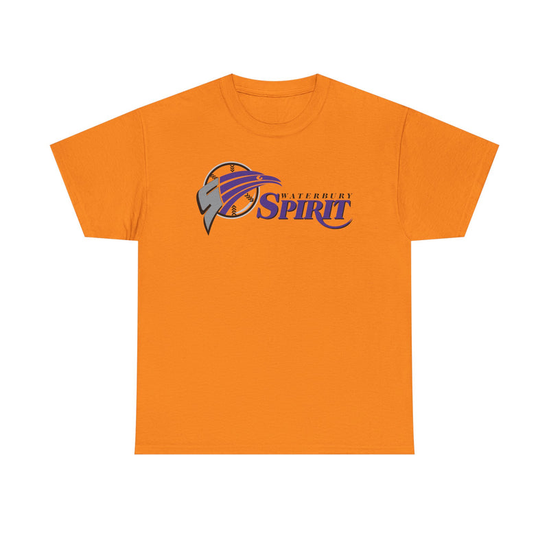 Load image into Gallery viewer, Waterbury Connecticut Spirit Baseball 1997-2000 T-shirt