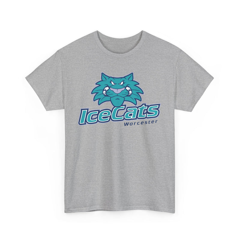 Load image into Gallery viewer, Worcester IceCats Hockey 1994-2005 Massachusetts T-shirt
