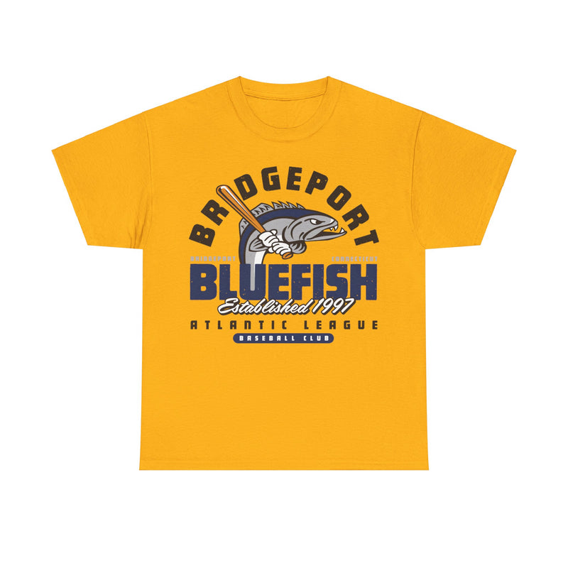 Load image into Gallery viewer, Bridgeport Bluefish Est 1997 Connecticut Baseball T-shirt