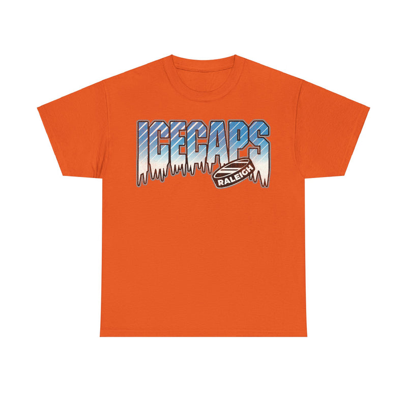 Load image into Gallery viewer, Raleigh Ice Caps North Carolina Ice Hockey T-shirt