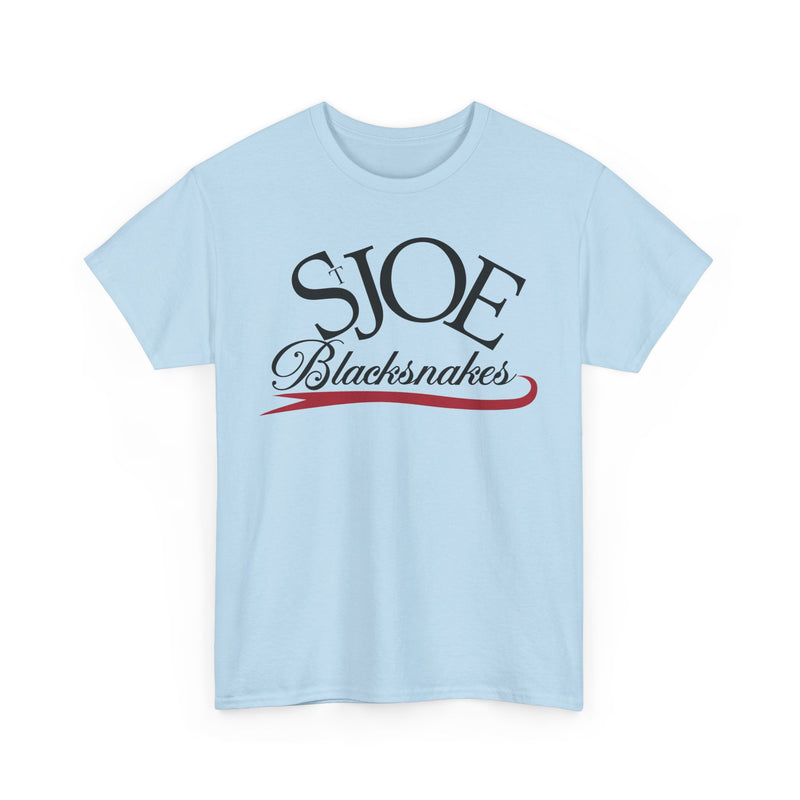 Load image into Gallery viewer, St. Joe Blacksnakes Missouri Baseball 2006-2007 T-shirt