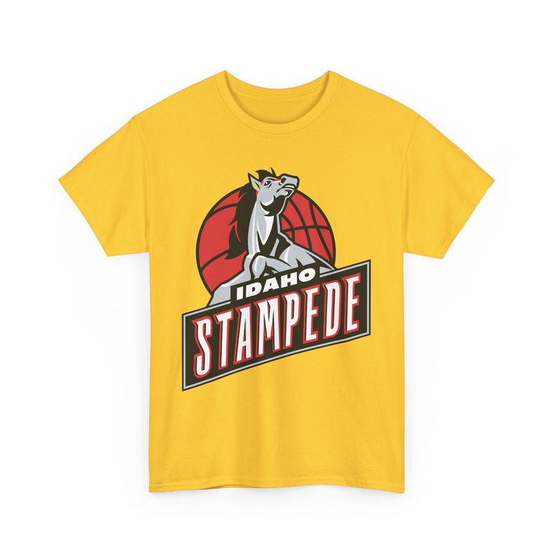 Load image into Gallery viewer, Idaho Stampede Continental Basketball Association NBA D-League 1997-2016 T-shirt