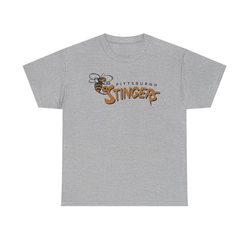 Load image into Gallery viewer, Pittsburgh Stingers Pennsylvania Soccer 1994-1995 T-shirt