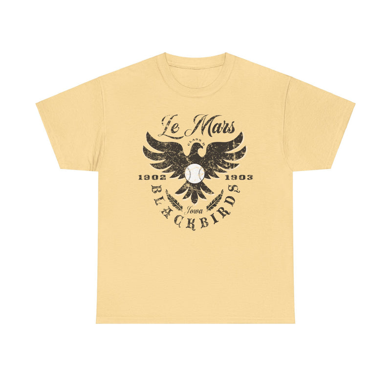 Load image into Gallery viewer, Le Mars Blackbirds Est 1902 Iowa Baseball T-shirt