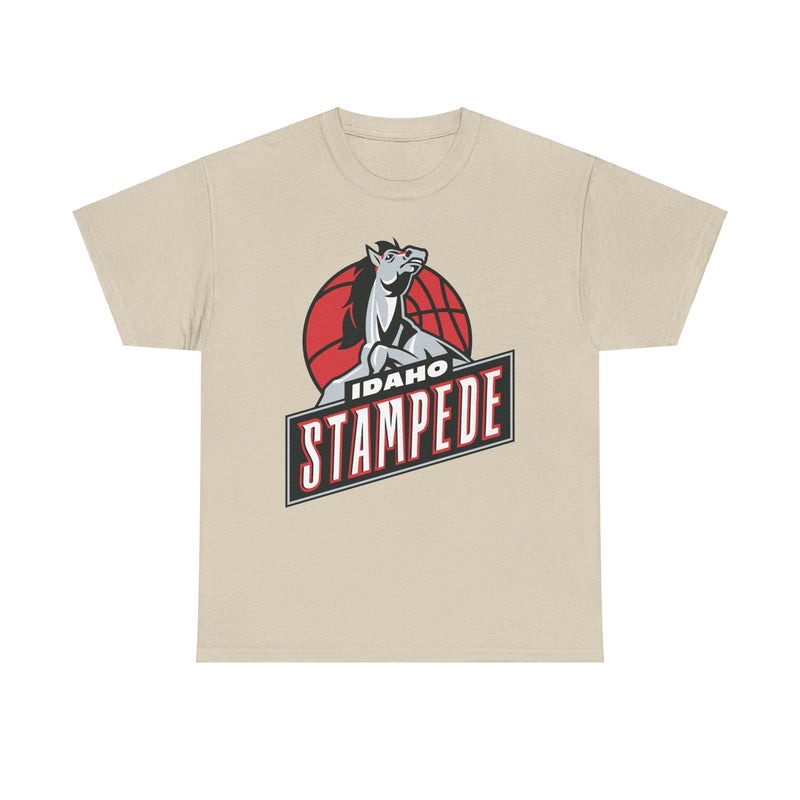 Load image into Gallery viewer, Idaho Stampede Continental Basketball Association NBA D-League 1997-2016 T-shirt