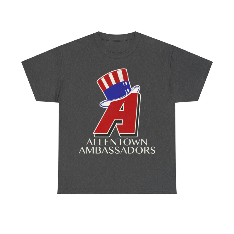 Load image into Gallery viewer, Allentown Ambassadors Nostalgic Retro Baseball Team T-shirt