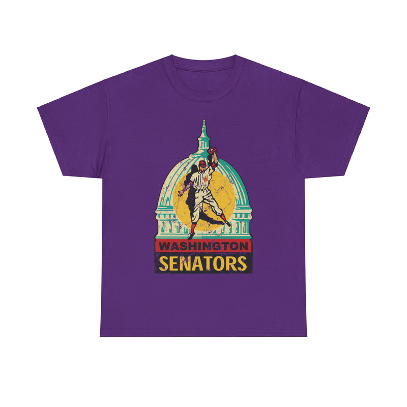 Load image into Gallery viewer, Washington DC Senators Capital Logo Baseball T-shirt