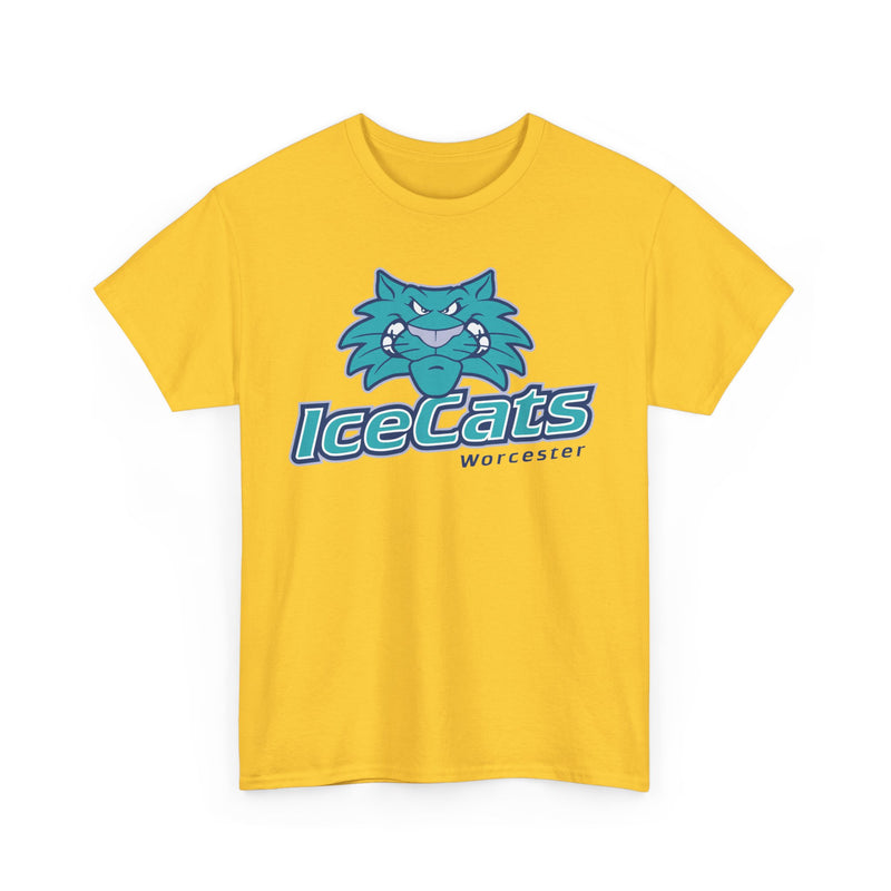 Load image into Gallery viewer, Worcester IceCats Hockey 1994-2005 Massachusetts T-shirt
