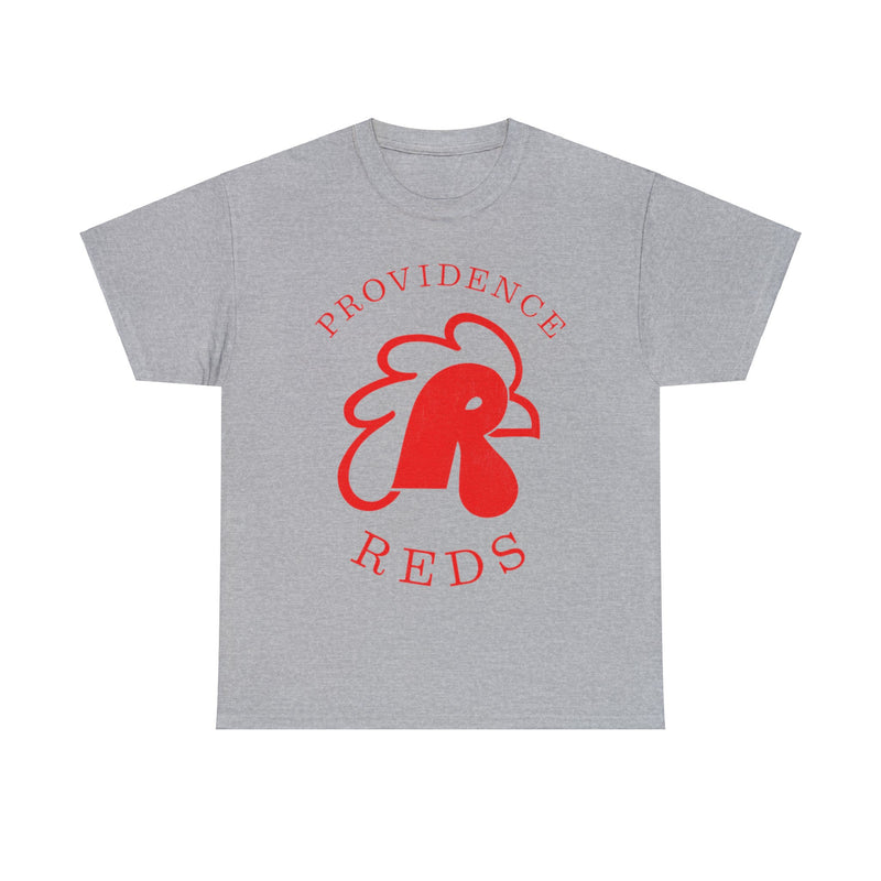 Load image into Gallery viewer, Providence Reds Hockey AHL 1977 Nostalgic Logo T-shirt