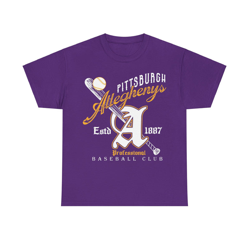 Load image into Gallery viewer, Pittsburgh Alleghenys Est 1887 Pennsylvania Baseball T-shirt