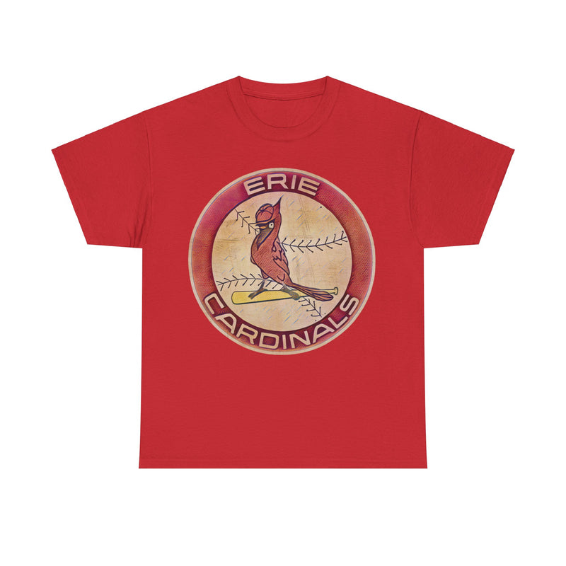 Load image into Gallery viewer, Erie Cardinals Pennsylvania Baseball Team T-shirt