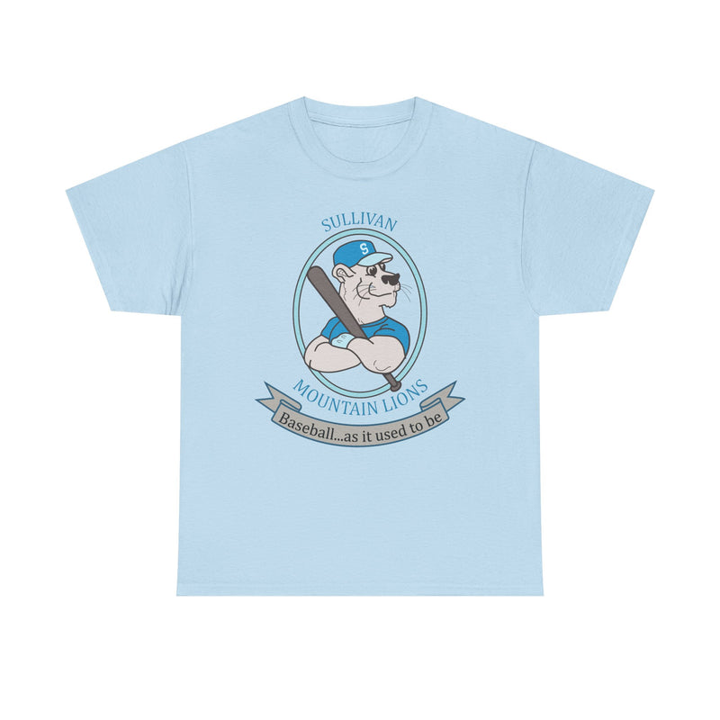 Load image into Gallery viewer, Sullivan County Mountain Lions Baseball 1995 New York T-shirt
