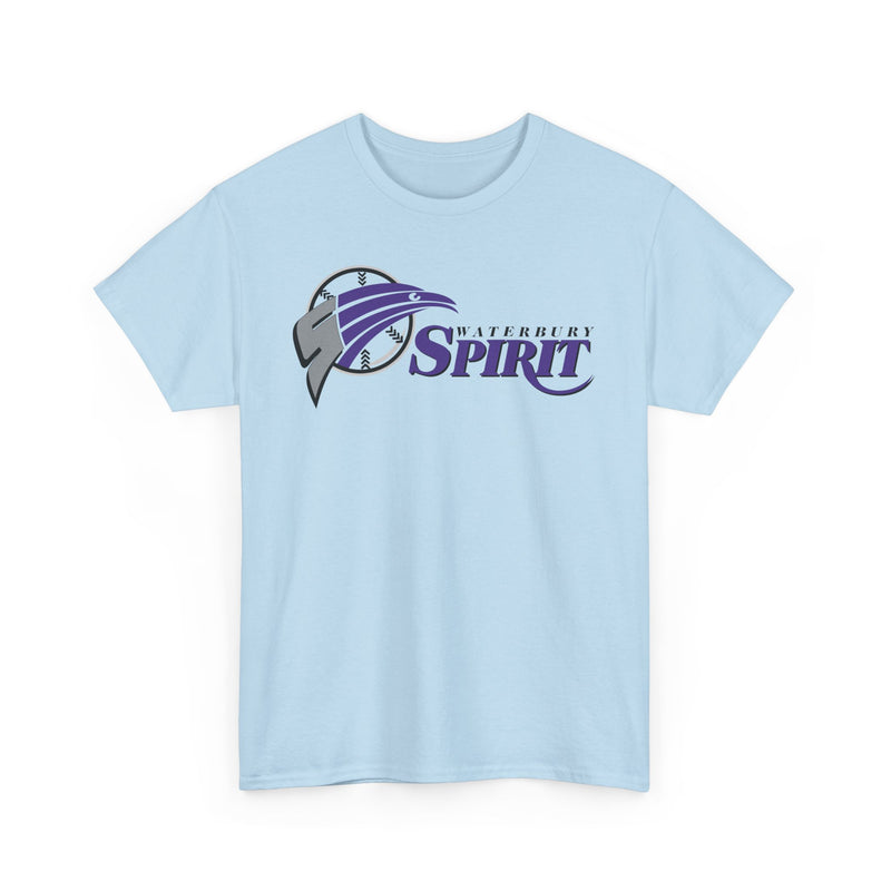 Load image into Gallery viewer, Waterbury Connecticut Spirit Baseball 1997-2000 T-shirt