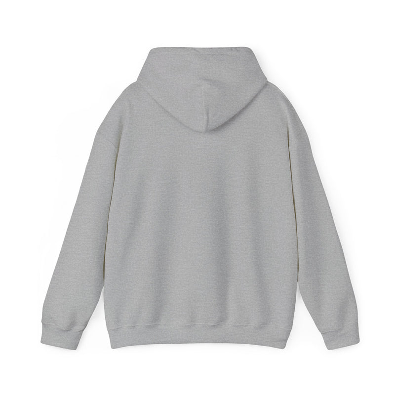 Load image into Gallery viewer, Zany Brainy Retail Store Logo Pullover Hoody