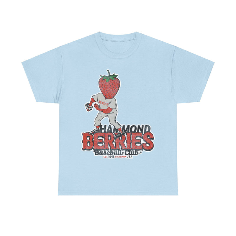Load image into Gallery viewer, Hammond Berries Nostalgic Retro Baseball Team T-shirt