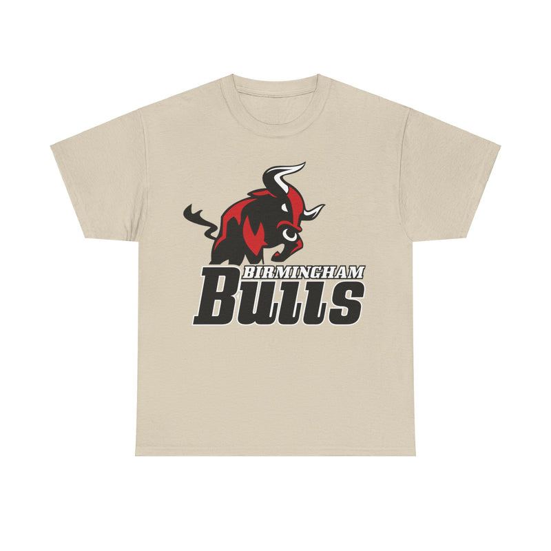 Load image into Gallery viewer, Birmingham Bulls Alabama Football Team T-shirt