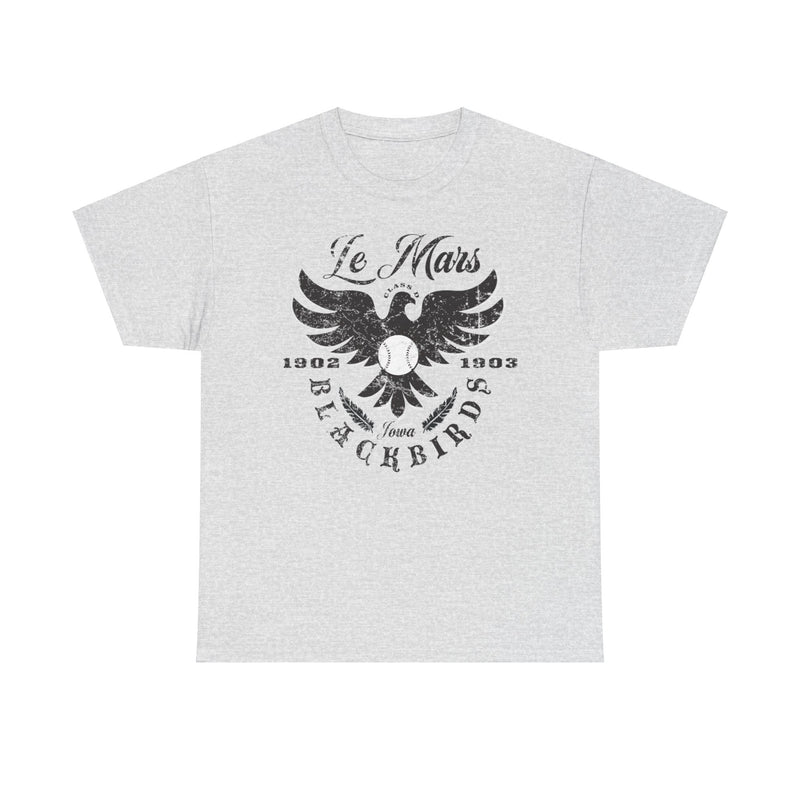 Load image into Gallery viewer, Le Mars Blackbirds Est 1902 Iowa Baseball T-shirt