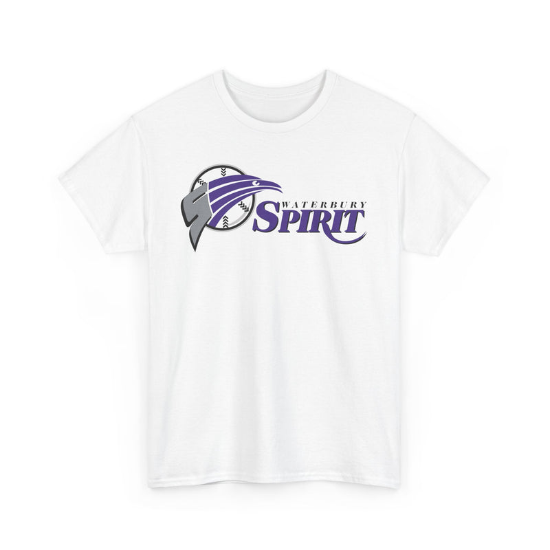 Load image into Gallery viewer, Waterbury Connecticut Spirit Baseball 1997-2000 T-shirt