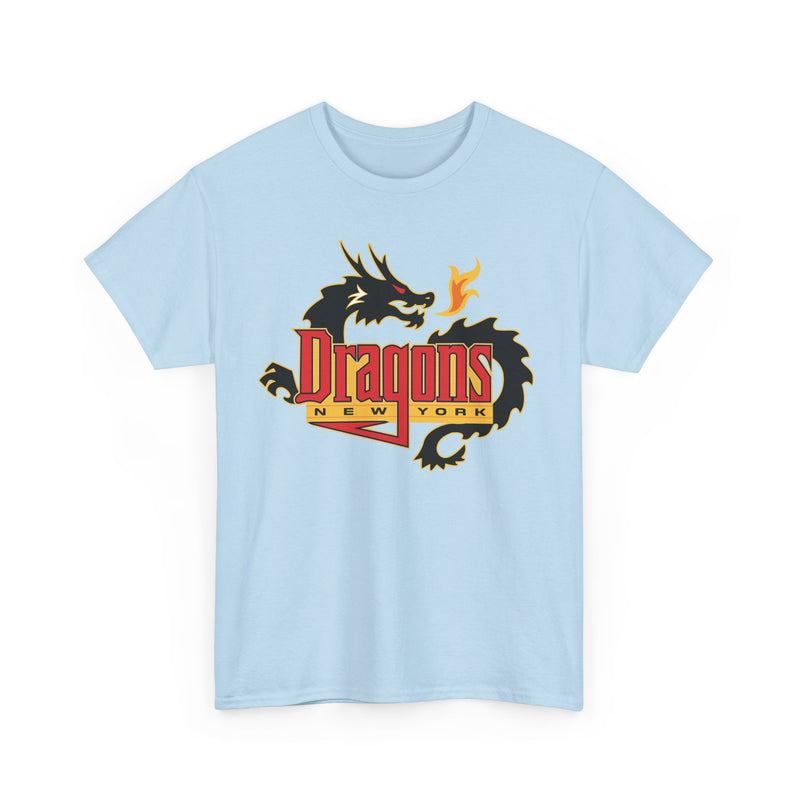 Load image into Gallery viewer, New York Dragons Arena Football League 2001-2008 T-shirt