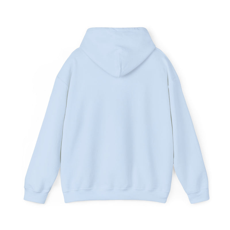 Load image into Gallery viewer, Zany Brainy Retail Store Logo Pullover Hoody